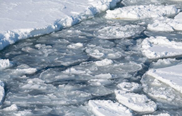 Antarctic sea ice.