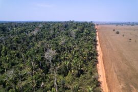 Aerial view of deforestation in the Amazon
