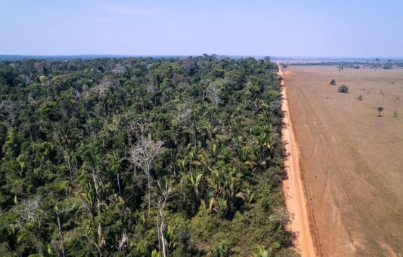 Aerial view of deforestation in the Amazon