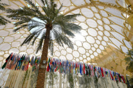 View of flags during COP28 in Dubai, United Arab Emirates.