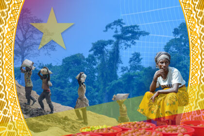 The Carbon Brief Profile: Democratic Republic of the Congo