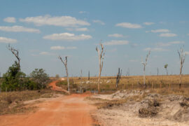 Dirt road through cattle pasture in an area recently cleared of forest, Brazil. Image ID: DYXMBY.