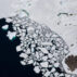 Floating ice breaking away from Holl Island, Antarctica.