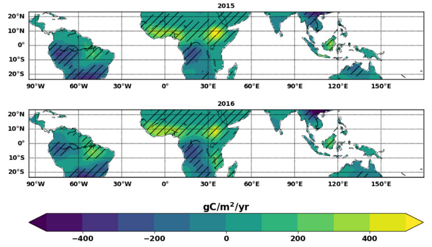 The extent of CO2 emissions from tropical land in 2015 and 2016 in grammes of carbon per metre squared per year