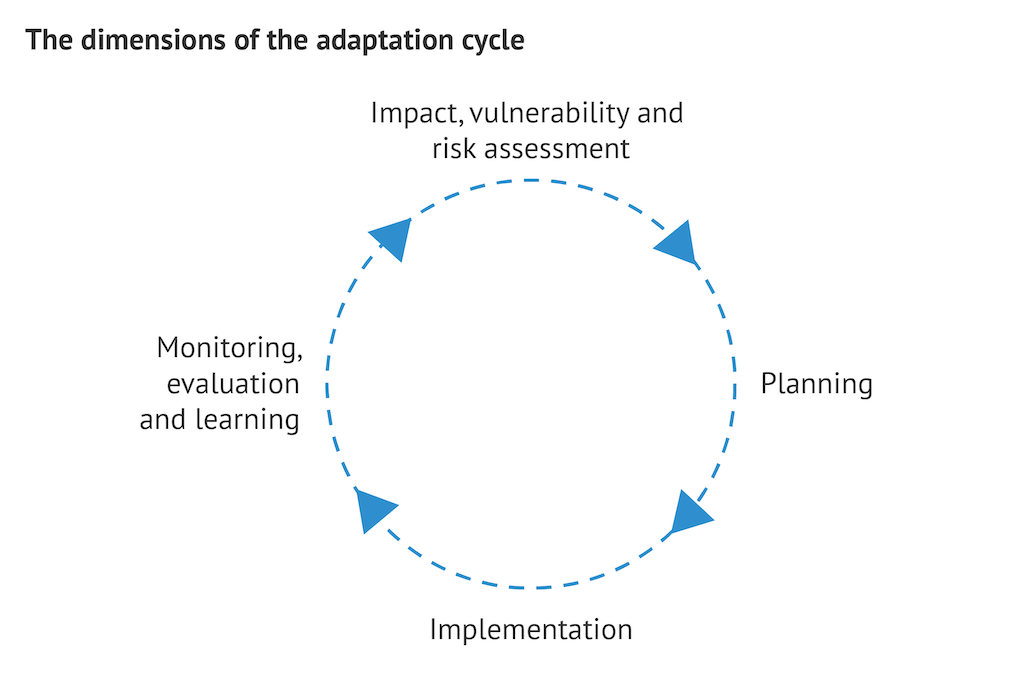 Caption: The path of the adaptation cycle, showing the circularity of the process. Source: ACDI, figure by Carbon Brief.