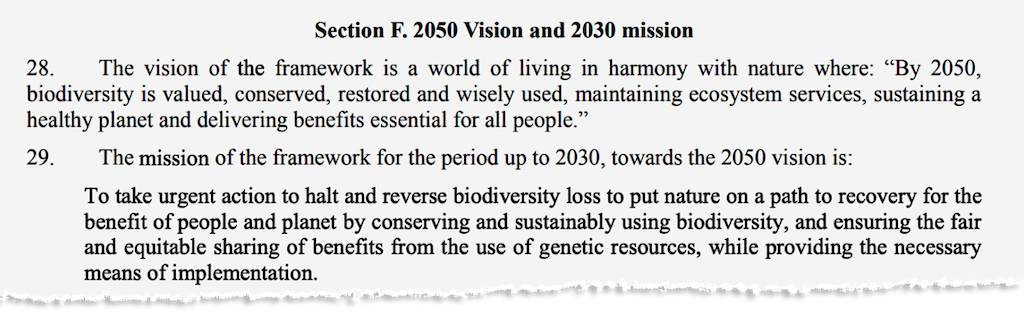 Section F of the Global Biodiversity Framework. Source: CBD 
